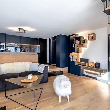 Duplex Avec Sauna Et Vue Mont Blanc Au Centre De