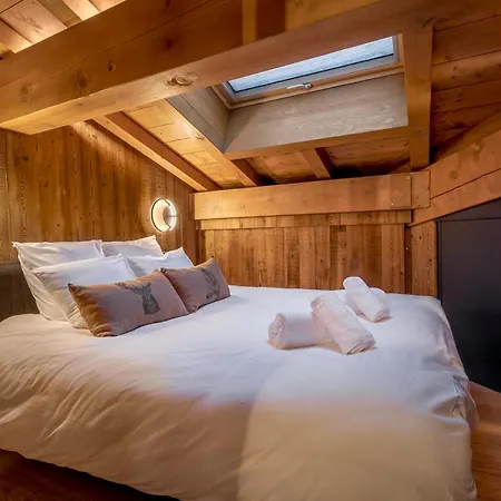 Duplex Avec Sauna Et Vue Mont Blanc Au Centre De Chamonix 公寓